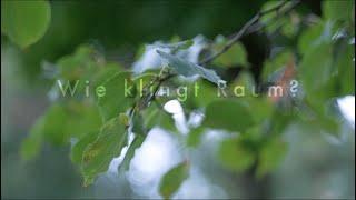 Didgeridoo & Piano by Marvin Dillmann & Daniel Bark "Wupper Dream"
