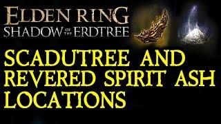 ELDEN RING DLC: Scadutree & Revered Spirit Ash Locations!