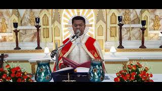 Holy Mass April 11 Monday I 5.30 am I Malayalam I Syro Malabar I Fr  Bineesh Augustine