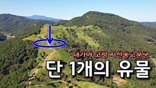 [고령] 단1개의 유물, 지산동고분군