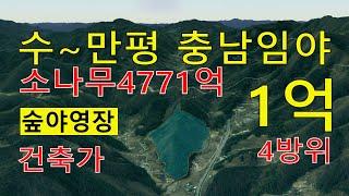 충남임야 수~만평 1억 건축가 4방위 자연인 전원생활 숲야영장6차산업 산분장 숲가치4877억원 탄소권3071만원 대박장사~오리주물럭 땅과함께(새희망을)경매임야 공매임야 나도땅주인