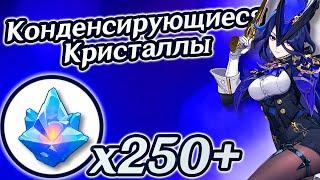 Конденсирующиеся кристаллыКонденсирующиеся кристалловГеншин 4.7Фонтейн 4.7Клоринда