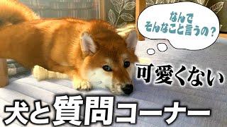 犬とNGなしで質問コーナーすると悪口が書かれました【アンチ噛み対応】【和風総分家】