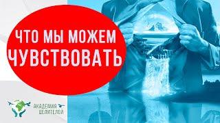 Что мы можем чувствовать? Чувствознание и вибрации тонких миров. Руденко В.В. Академия Целителей