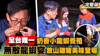 《詹姆士出走料理》全台唯一奶香小龍蝦 無敵龍蝦宴與皮脆肉嫩放山豬、放山雞美味料理樣樣來-第200集-2023/3/19