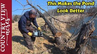 Clearing Trees Around Edge of the Pond.  Finishing up Splitting Firewood