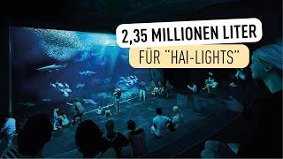 So spektakulär wird unser neues Aquarium I Tiergarten Schönbrunn