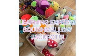 Squishmallow hunting at learning express! #shorts #squishmallows