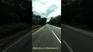 Mullaitivu to Nedunkerny|beautiful #roadtravel|#trending|#shorts |#mullaitivu