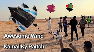 Afternoon Patangbazi- Real Kite Fighting- Paitch- Kites- Patang Bazi In Saudia