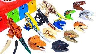 Learn Dinosaur names with Jurassic world lego dinosaur's head toy - T-Rex, Indoraptor, Indominus Rex