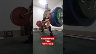 Становая тяга #спорт #fitness #sports #powerlifting #motivation #топ #тренер #deadlift #benchpress