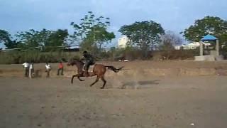 Tent Pegging on Flying Queen