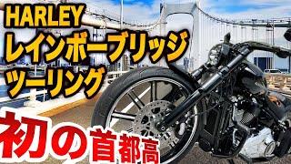 【ハーレーで高速はどんな感じ？】初めての首都高速大丈夫か！？ハーレーでレインボーブリッジツーリング！【愛車紹介】