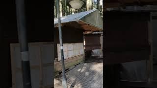 Доріжка через ліс з третього джерела #східниця