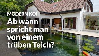 Willis „trüber" Teich in der Schweiz | Modern Koi Blog #6903