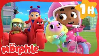 Body Swap Bonanza  | Fun Animal Cartoons | @MorphleTV  | Learning for Kids