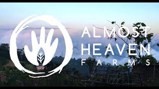 "Almost Heaven Farms" Promo Video. Ilam, Nepal. 2019