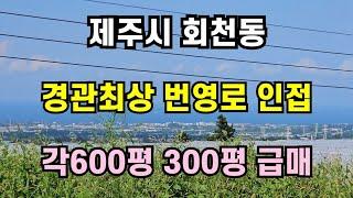 제주시 회천동경관최상 번영로 인접각600평 300평 외 6필지 010 4436 0401 제주도부동산 토지 매매 급매물