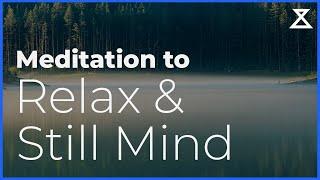 Relax Deeply into a Still Mind Meditation (15 Minutes)
