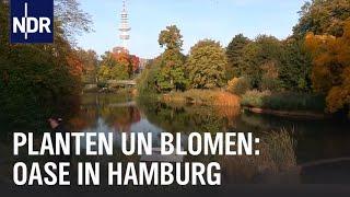 Hamburgs Ruhepol: Planten un Blomen | die nordstory | NDR Doku