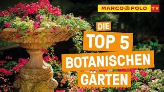 Blumen, Blüten, Beauty! - Die Top 5 Botanischen Gärten Deutschlands