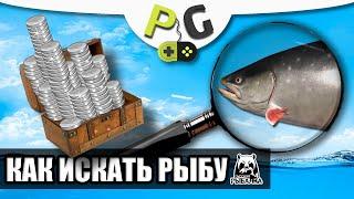 Русская Рыбалка 4 - Как искать рыбу, гайд для новичков