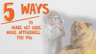 5 Strategies To Handle The Cost of Veterinary Care