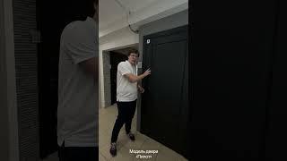 Дверь "Пилот" в салонах "Двери Зодчий"