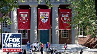 Harvard getting bad advice, will lose its lawsuits, famed legal scholar predicts