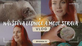 VLOG 12: LEDNICE A MOJE STRAVA 