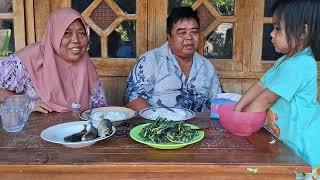 masakan emak bikin bumil ngiler sayur daun pepaya