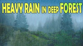  Heavy Rain & Thunder in Deep Forest - Ambient Sleep & Meditation Sounds, @Ultizzz day#80