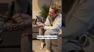 Finally  my most wholesome moment from Giz  #talkingparrot #africangrey