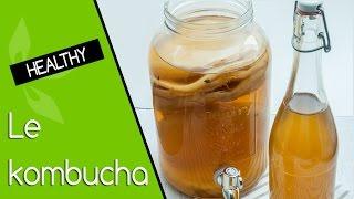 Kombucha bienfaits, préparation et stockage 