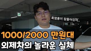 흑염룡이 잠들어 있는 차