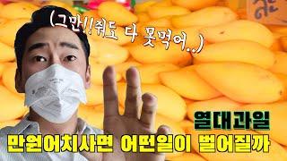 망고 1kg가 태국시장에선 천원??![1kg  MANGO  for $1 In BKK]