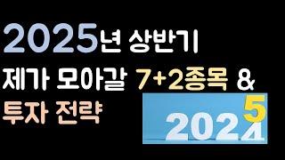 미국주식 - 2025년 상반기 저는 이렇게 투자하려 합니다