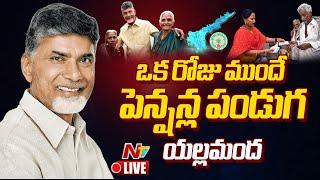 CM Chandrababu LIVE : NTR Bharosa Pensions Distribution | Ntv