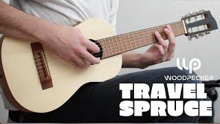 Nirvana Songs - Woodpecker Travel Guitar -  How does it sounds?