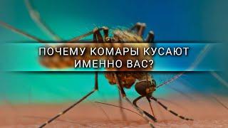 Почему комары кусают именно вас? [Veritasium]