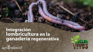 Integración de la lombricultura en la ganadería regenerativa 🪱 Suelos Vivos