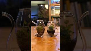 How to make a tiny terrarium AND aquarium