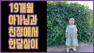 [vlog] 초보엄마의 하루 - 19개월 아기 | 친정찬스 | 청약당첨 | 흥넘치는 아기