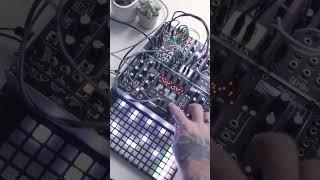 Modular synth jam by @ooramusic #shorts #synth