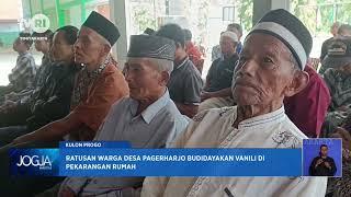 Ratusan Warga Desa Pagerharjo Budidayakan Vanili Di Pekarangan Rumah