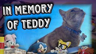 Sonic & friends sing (HALLELUJAH) TRIBUTE to Teddy