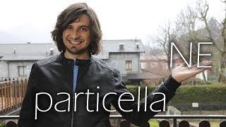 Частица NE в итальянском языке. Particella NE.