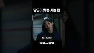 당근마켓 권총 5만원