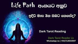 Life path අංකයට අනුව ඉදිරි මාස 3න ඔබට කෙසේද? Dark Tarot වලින් බලමුද?|Sinhala|#tarotreading